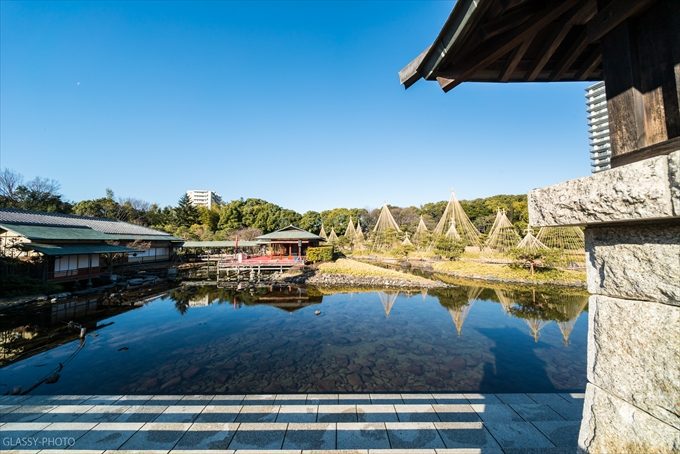 「白鳥庭園」さんは中部地方最大級というだけあってすごーく広い敷地の日本庭園なのです