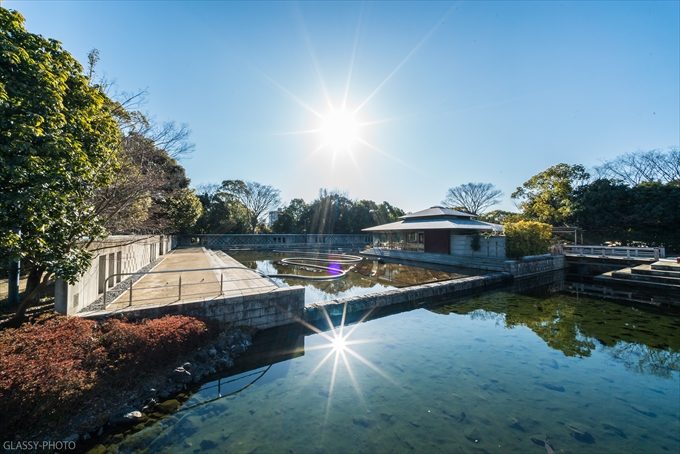 朝早くから会場入りして白鳥庭園内を写真撮影しながら散策