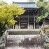 伊奈波神社 水琴亭 岐阜 結婚式 写真 カメラマン