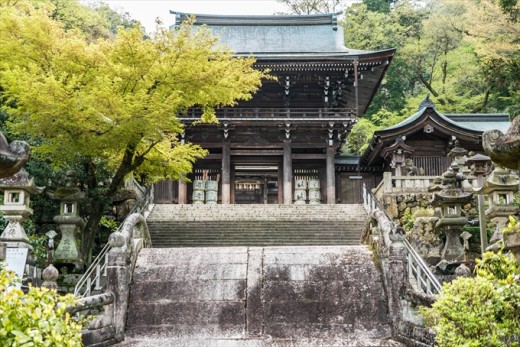 伊奈波神社 水琴亭 岐阜 結婚式 写真 カメラマン