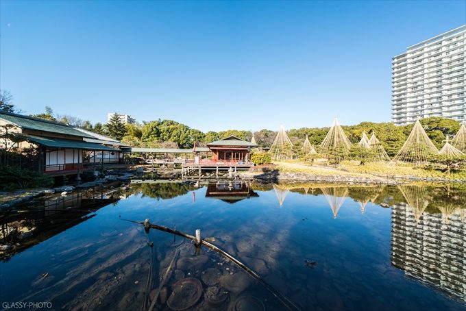 池にも綺麗に写ってますよ